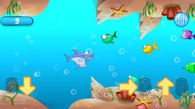 Angry Shark Deep Sea截图4