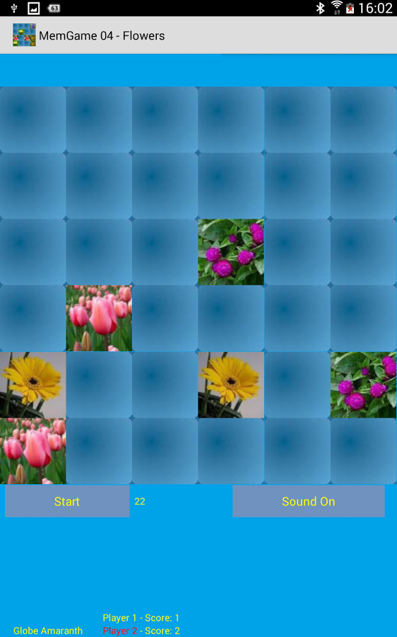 MemGame 04 - Flowers截图1