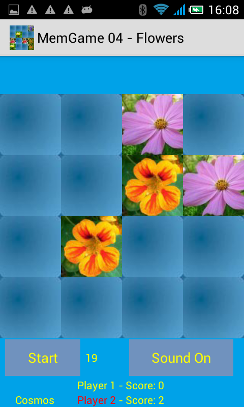 MemGame 04 - Flowers截图5