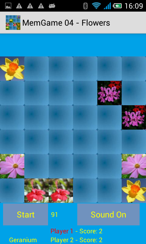 MemGame 04 - Flowers截图4