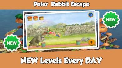 Peter Rabbit Escape截图2