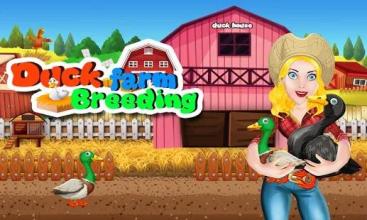 Duck Farm Breeding: Eggs & Chicken Poultry Farming截图4