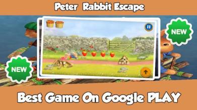 Peter Rabbit Escape截图3