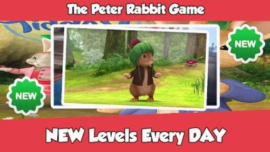 Peter Rabbit Game截图4