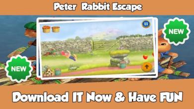 Peter Rabbit Escape截图4