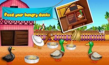 Duck Farm Breeding: Eggs & Chicken Poultry Farming截图2