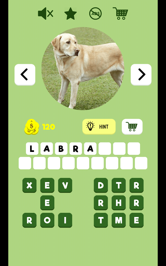 Dogs Quiz - Guess The Dog Breed截图3