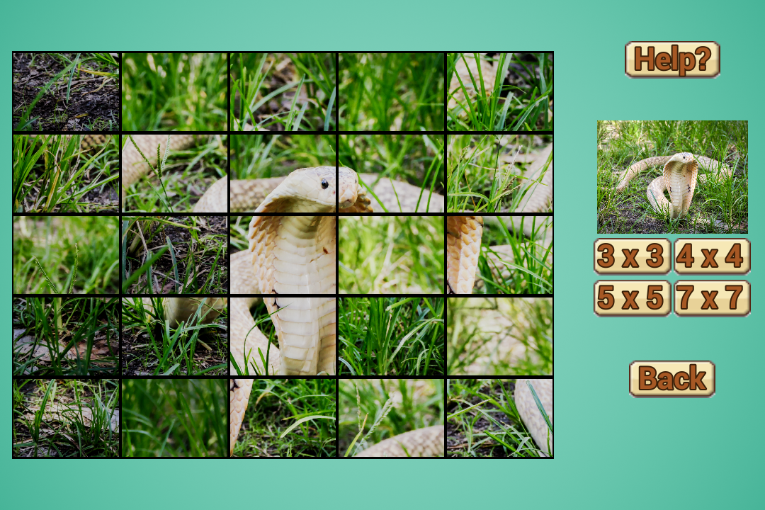 Snake Puzzle HD截图4