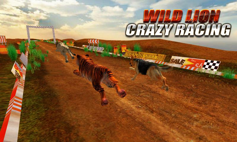 Wild Lion Crazy Racing Fever: Wild Animals Racing截图5