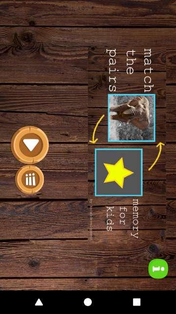 Match The Pairs截图5