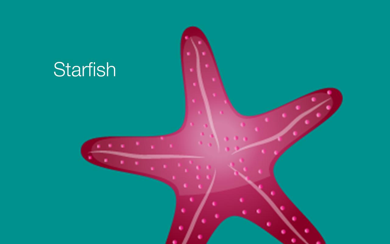 Starfish Reality截图5