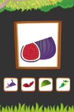 Fruits Name A-Z截图3