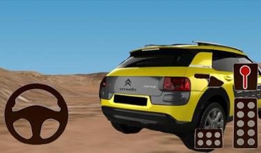 Driving Cars Simulator Citroen截图2