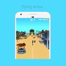 Flying Arrow Archer 3d截图3