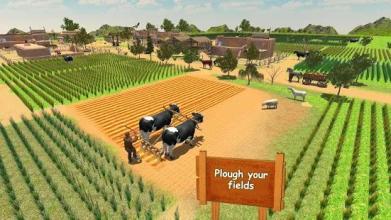 Village Farmers Expert Simulator 2018截图5