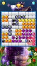 Fruit Puzzle Block截图1