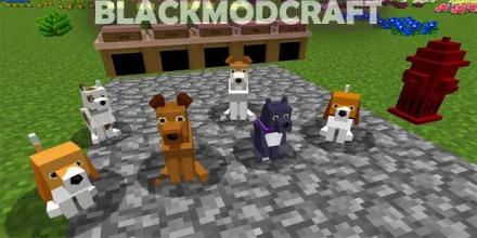 Dogs Mod截图2