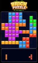 Block Puzzle - Brick Game截图4