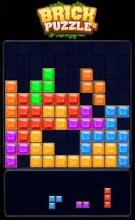 Block Puzzle - Brick Game截图1