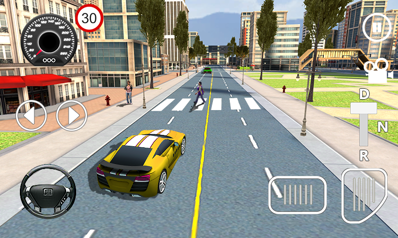 Car Driving Sim 3D截图2