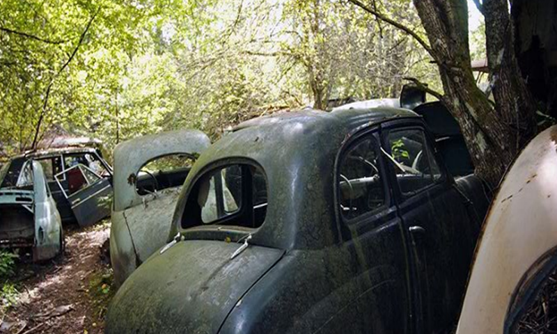 Bastnas Car Graveyard Escape截图2