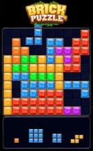 Block Puzzle - Brick Game截图2