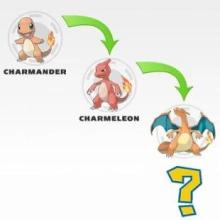 Quiz Poke Evolution截图4