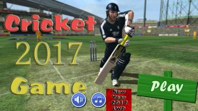 Cricket Game 2017 The Run截图1