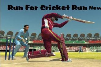 Cricket Game 2017 The Run截图3