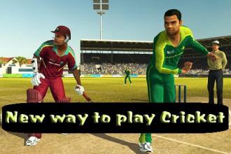 Cricket Game 2017 The Run截图2