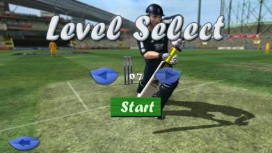 Cricket Game 2017 The Run截图5