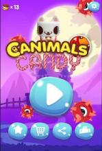 Canimals Crush - Sugar Candy *截图5