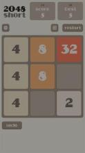 2048 Short截图1