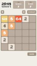 2048 Short截图4