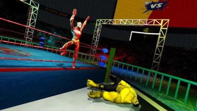 Superhero Wrestling Battle Arena Ring Fighting截图2