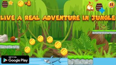 Snail jungle bob 5 adventure截图1