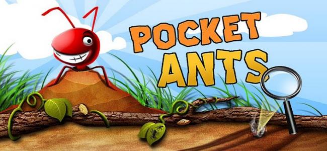 口袋蚂蚁 Pocket Ants截图1