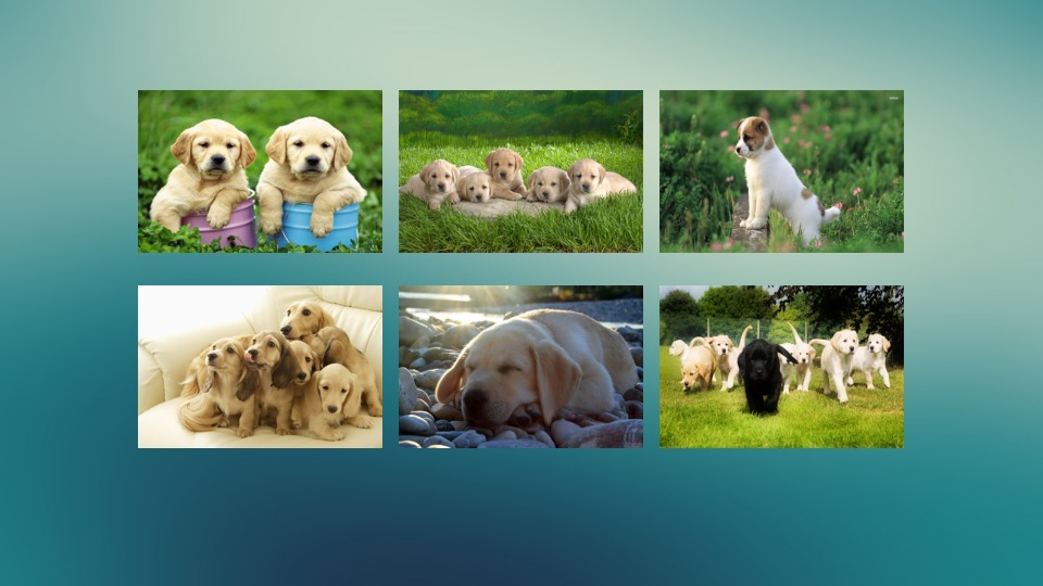 Jigsaw Puzzle Dogs截图4