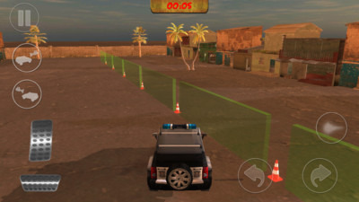 3D警车驾驶训练截图5