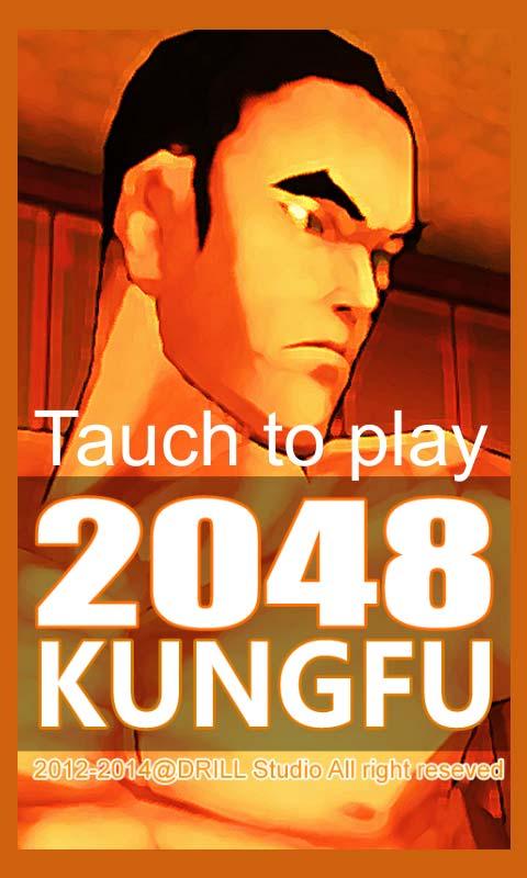 Kungfu 2048截图1