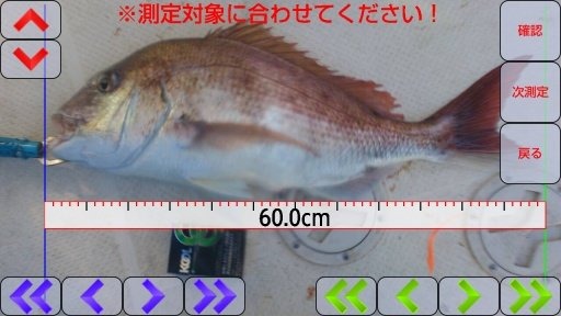 測魚FREE截图1