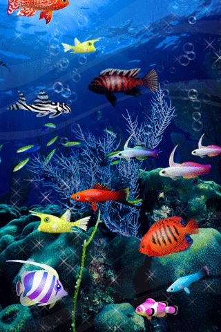 Papaya Fish 3D截图2