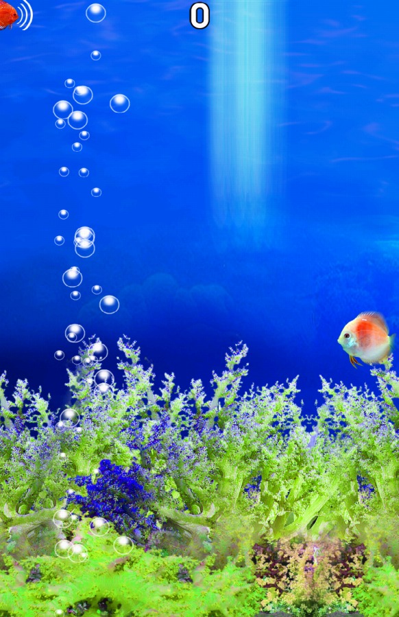 Fish Tour截图2