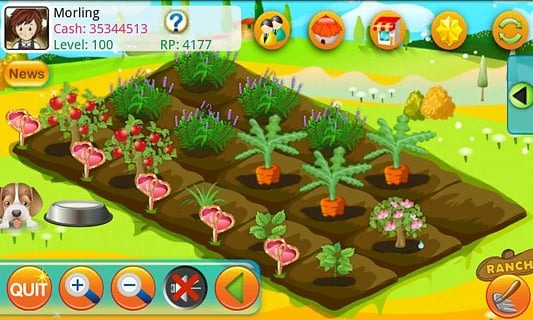 木瓜农场(Papaya Farm HD)截图1