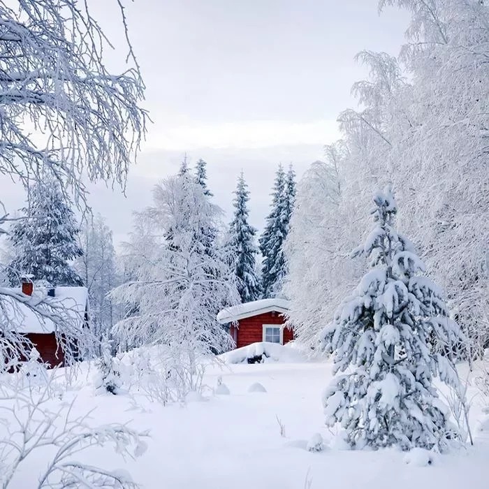 冬季雪景拼图截图2