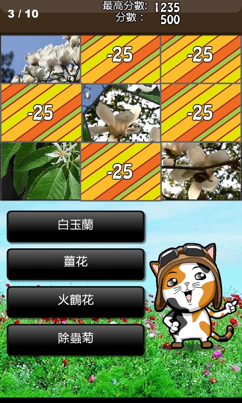 花卉猜猜截图3