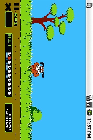 DuckHunt (打鸭子)截图1