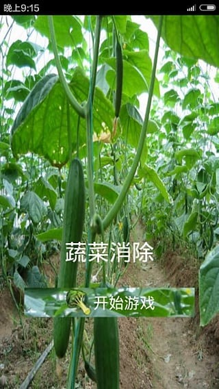 蔬菜消除截图3