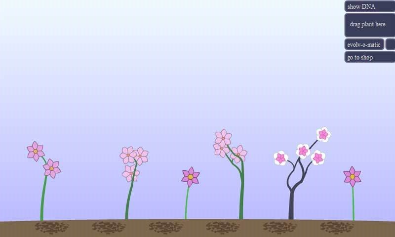 鲜花进化截图2