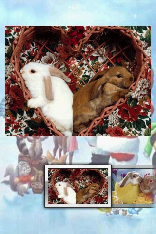 圣诞兔拼图 Christmas Bunny Puzzle截图2